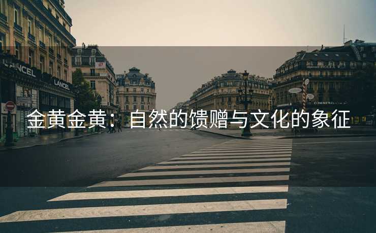 金黄金黄：自然的馈赠与文化的象征
