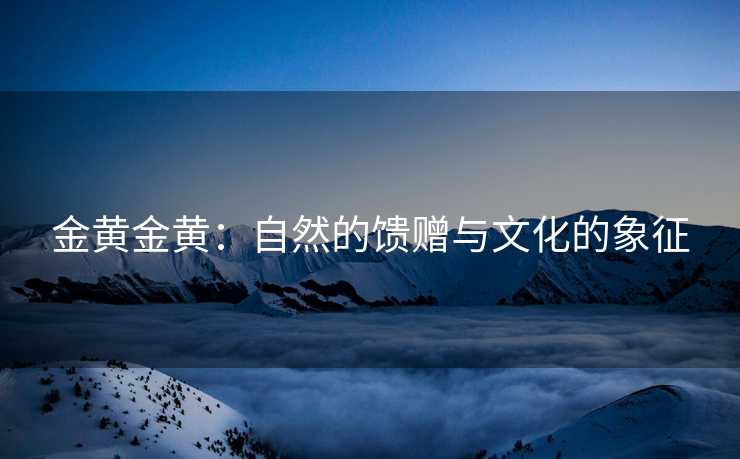 金黄金黄：自然的馈赠与文化的象征