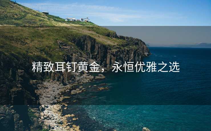 精致耳钉黄金，永恒优雅之选