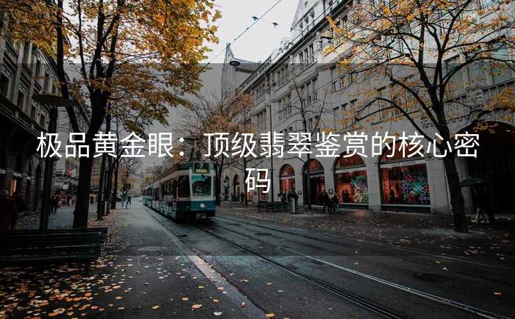 极品黄金眼：顶级翡翠鉴赏的核心密码