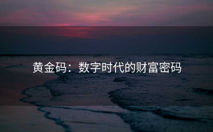 黄金码：数字时代的财富密码