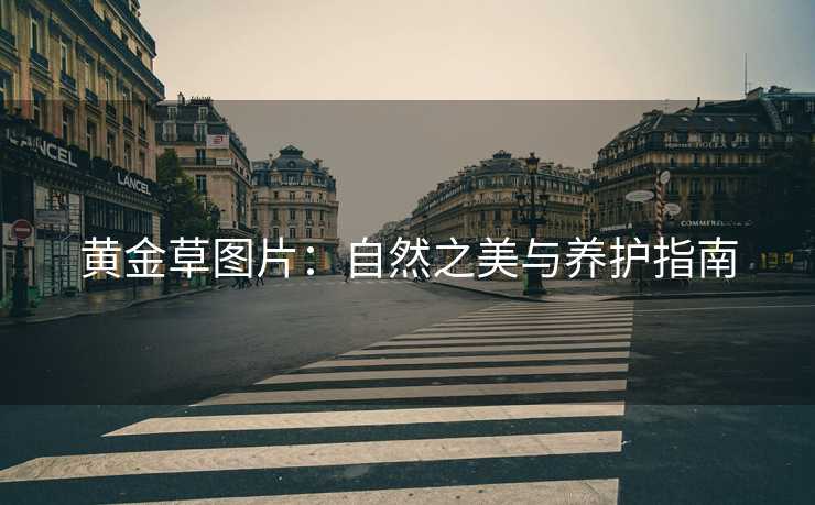 黄金草图片：自然之美与养护指南