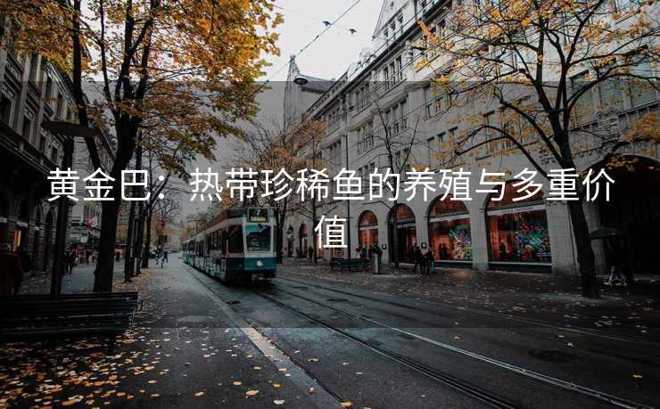 黄金巴：热带珍稀鱼的养殖与多重价值