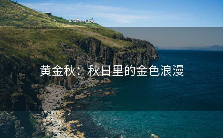 黄金秋：秋日里的金色浪漫
