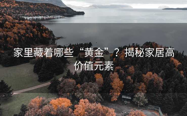 家里藏着哪些“黄金”？揭秘家居高价值元素