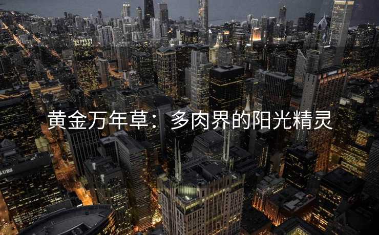 黄金万年草：多肉界的阳光精灵